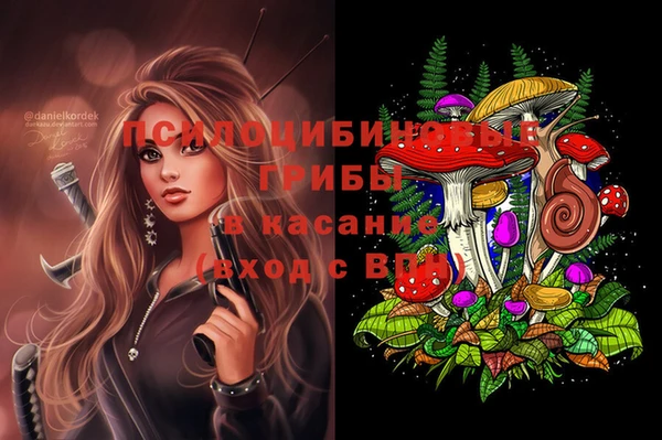 тгк Володарск