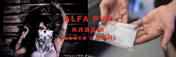 тгк Володарск