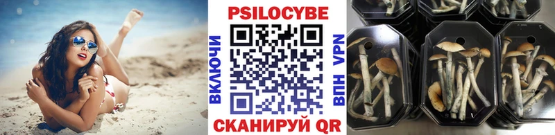 Псилоцибиновые грибы мухоморы Вытегра